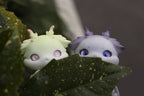 [Bjd Pet] Little Long --- Fei Da - YuKibjd