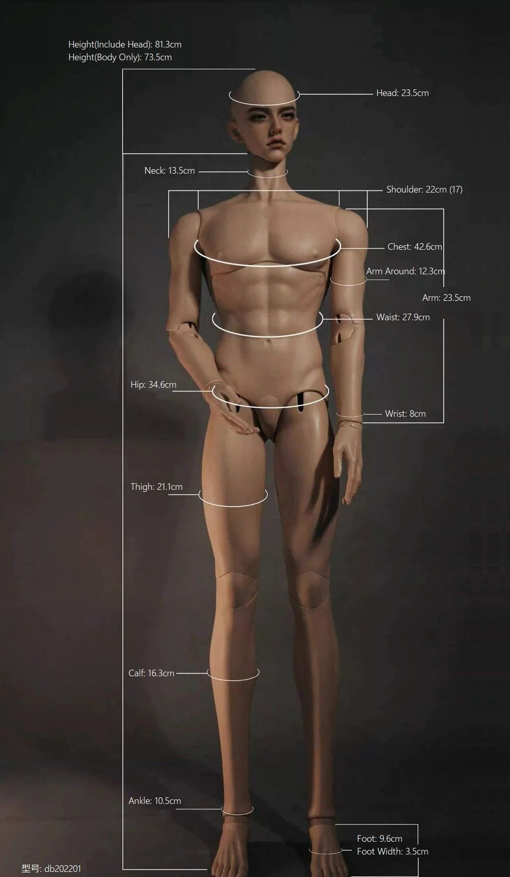 [BJD Doll] 80cm Size Male Bjd Doll --- Wen Buhuo