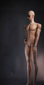 [Musle Body] 1/2 80+cm Male Body YuKibjd