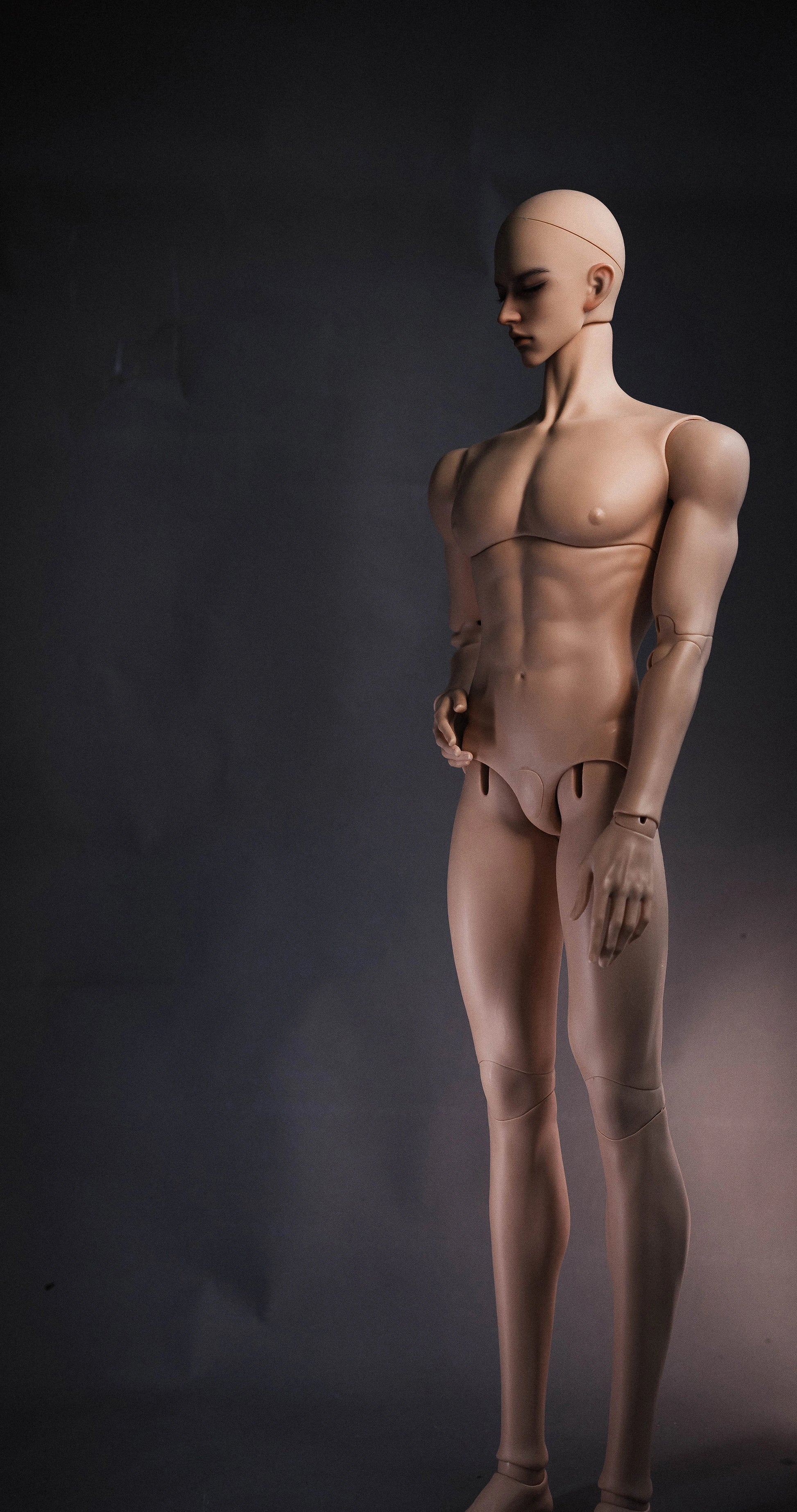 [Musle Body] 1/2 80+cm Male Body