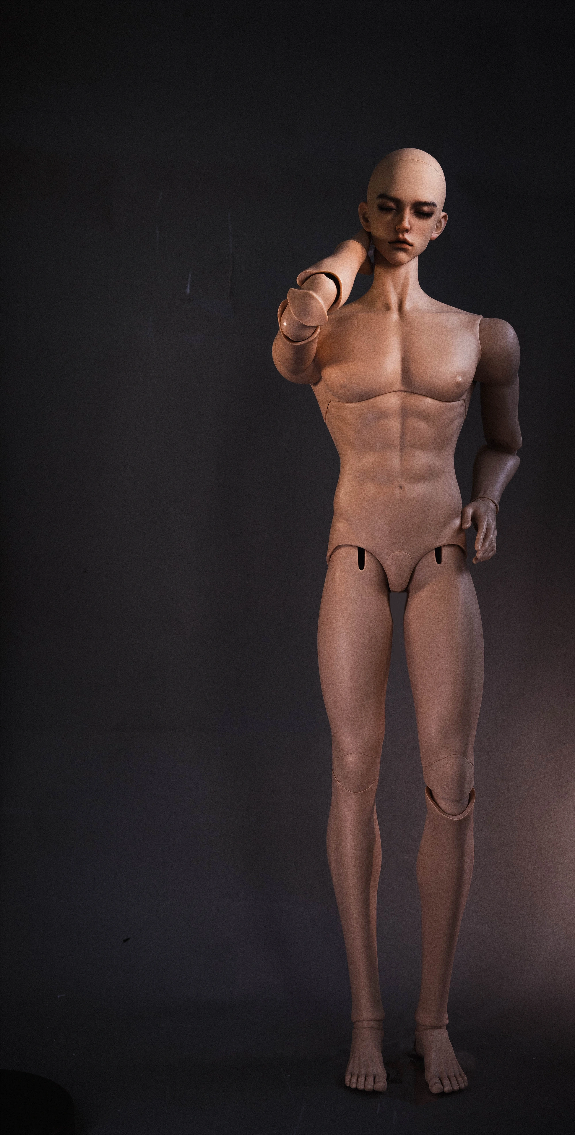 [Musle Body] 1/2 80+cm Male Body