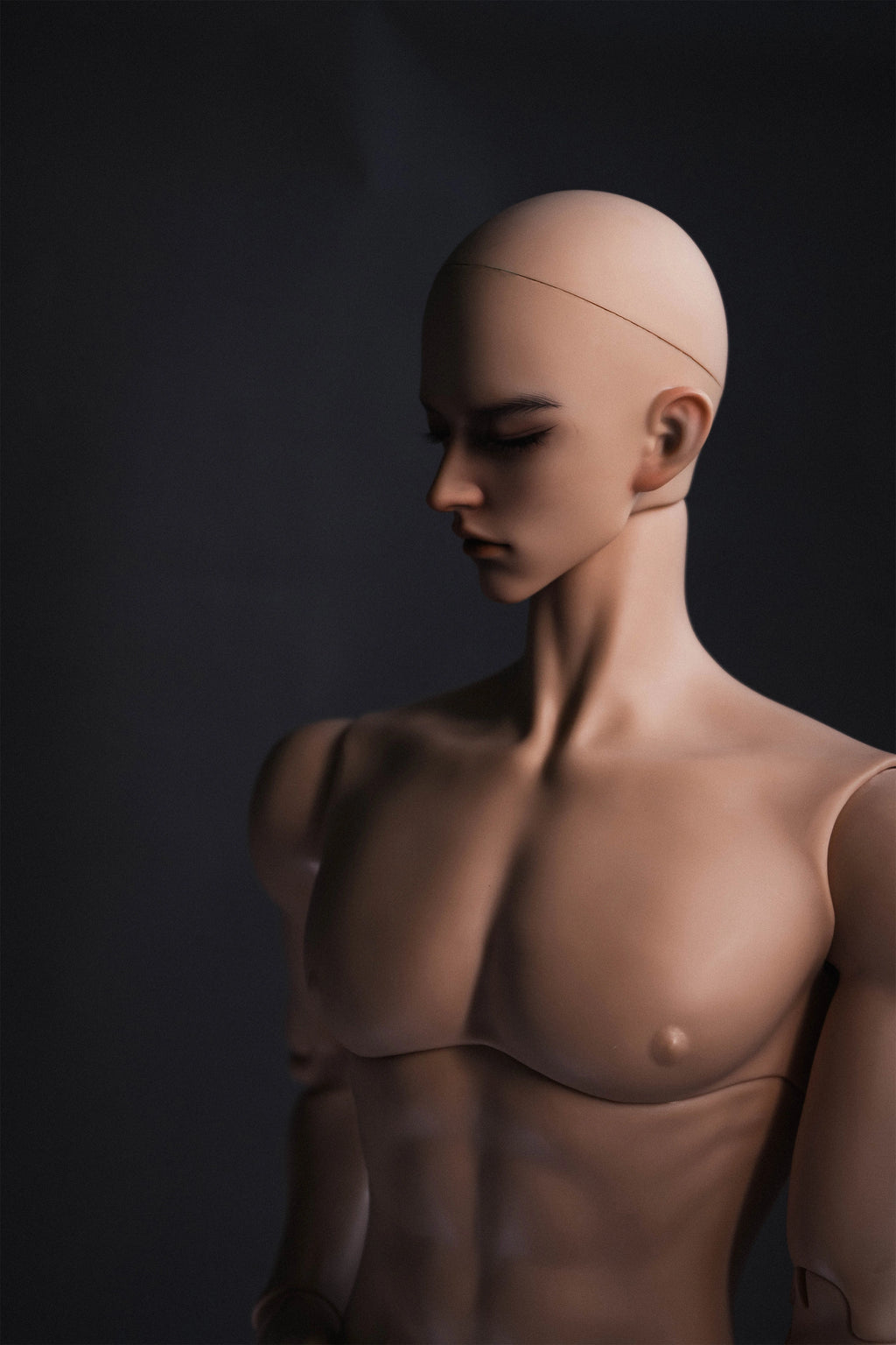 [Musle Body] 1/2 80+cm Male Body