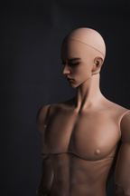 [Musle Body] 1/2 80+cm Male Body YuKibjd