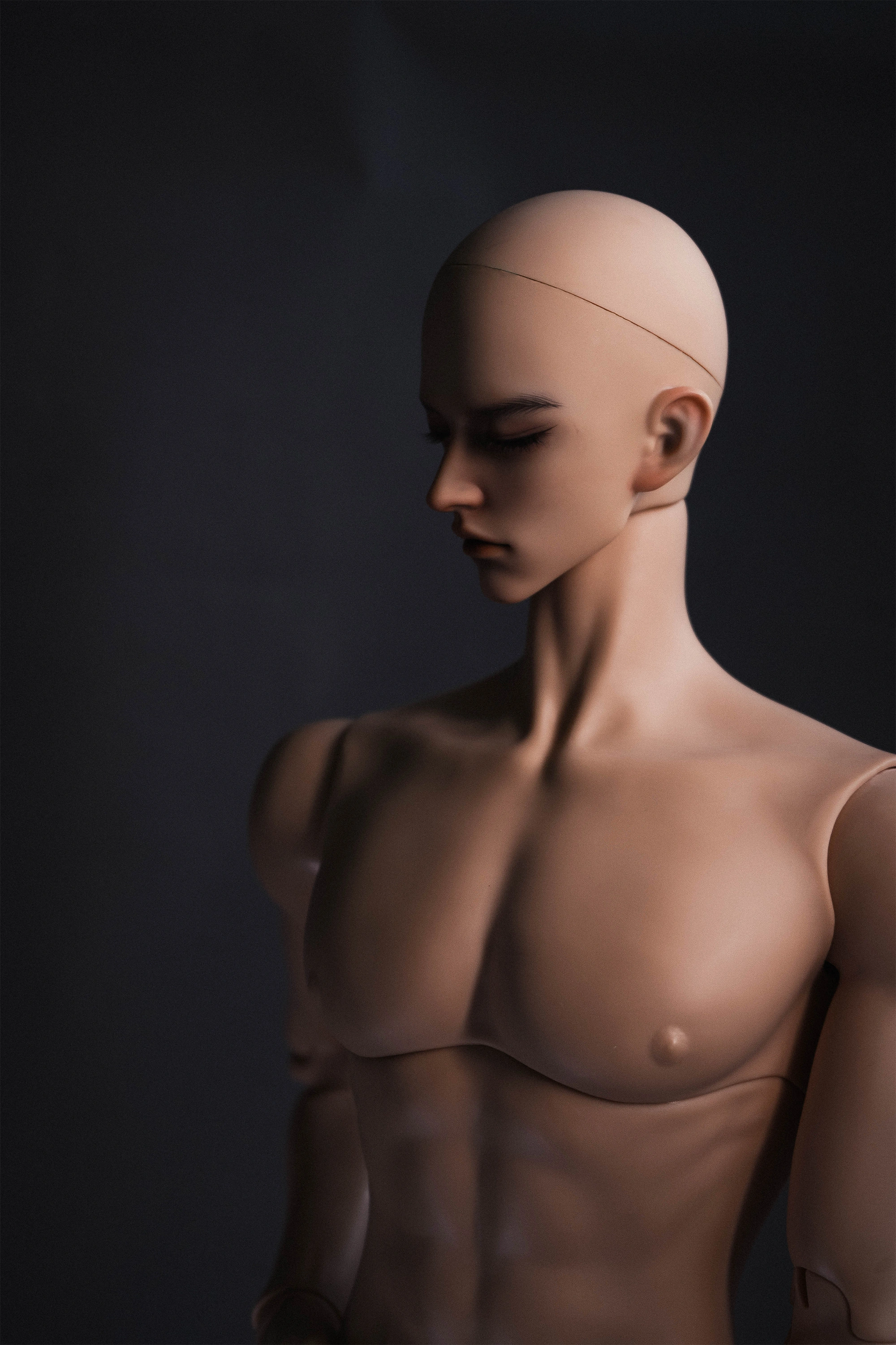 [Musle Body] 1/2 80+cm Male Body