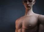 [Musle Body] 1/2 80+cm Male Body YuKibjd