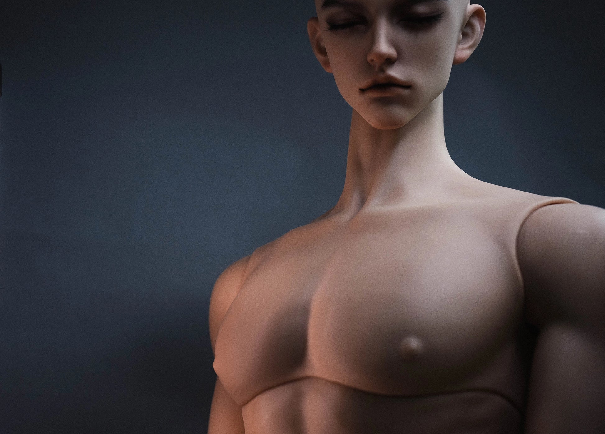 [Musle Body] 1/2 80+cm Male Body