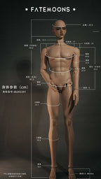 [Musle Body] 1/2 80+cm Male Body YuKibjd
