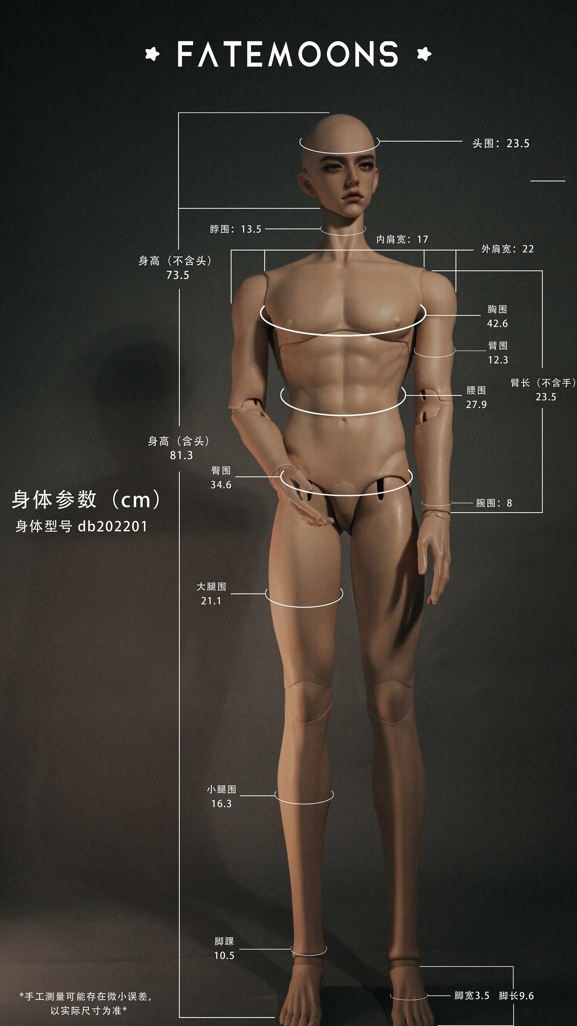 [Musle Body] 1/2 80+cm Male Body