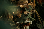 [NUDE HEAD] 1/4 Size Kid BJD Doll Head --- Murphy YuKibjd